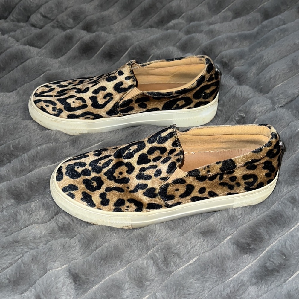 Leopard Print Steve Madden Shoes